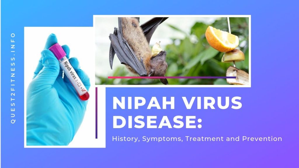 Nipah Virus Disease_ History, Symptoms, Treatment and Prevention