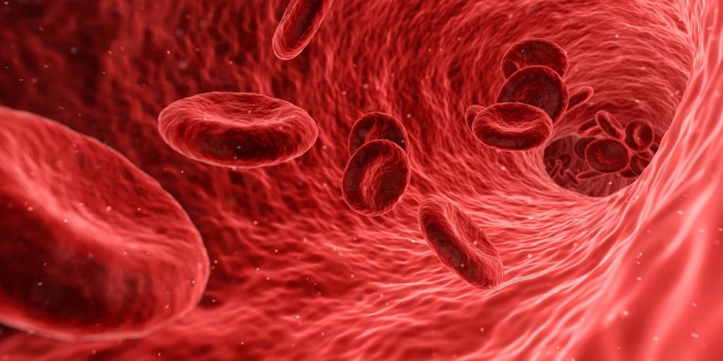 Blood Cancer Awareness: Symptoms, Treatments, and Real-Life Stories